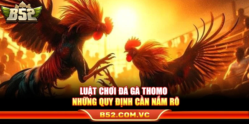Luật Đá Gà Thomo – Những Quy Định Cần Nắm Rõ Cho Newbie 1 Luật Đá Gà Thomo – Những Quy Định Cần Nắm Rõ